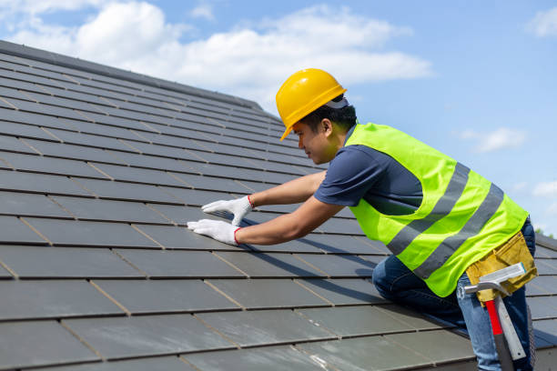 Quick and Trustworthy Emergency Roof Repair Services in Lovelock, NV